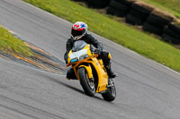 PJ-Motorsport-2019;anglesey-no-limits-trackday;anglesey-photographs;anglesey-trackday-photographs;enduro-digital-images;event-digital-images;eventdigitalimages;no-limits-trackdays;peter-wileman-photography;racing-digital-images;trac-mon;trackday-digital-images;trackday-photos;ty-croes
